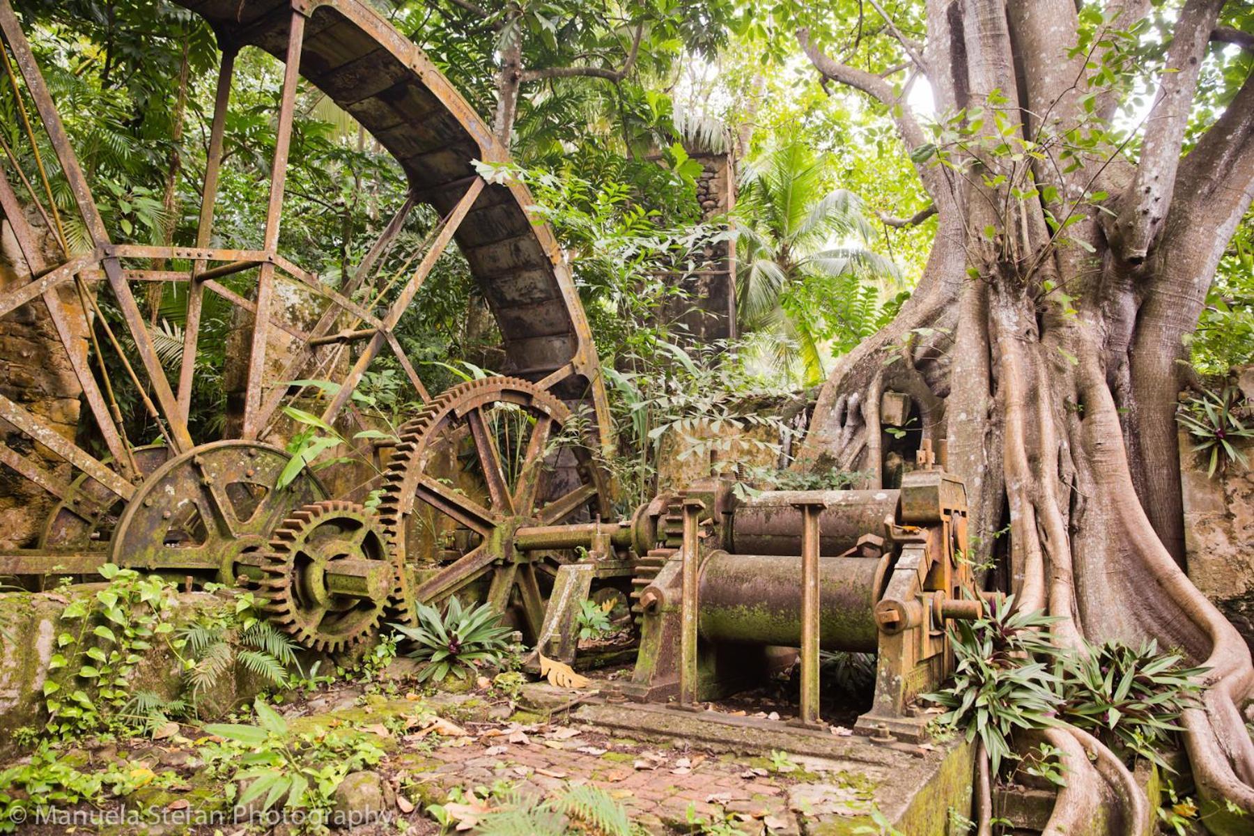 Balenbouche Estate Villa Laborie Kültér fotó