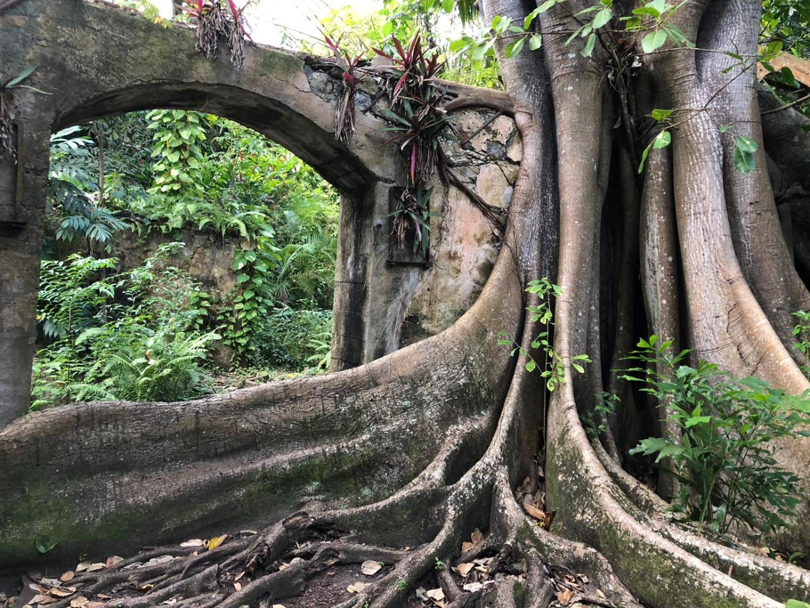 Balenbouche Estate Villa Laborie Kültér fotó