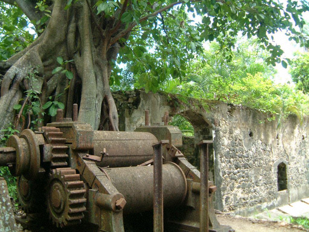 Balenbouche Estate Villa Laborie Kültér fotó