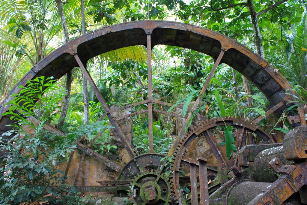 Balenbouche Estate Villa Laborie Kültér fotó